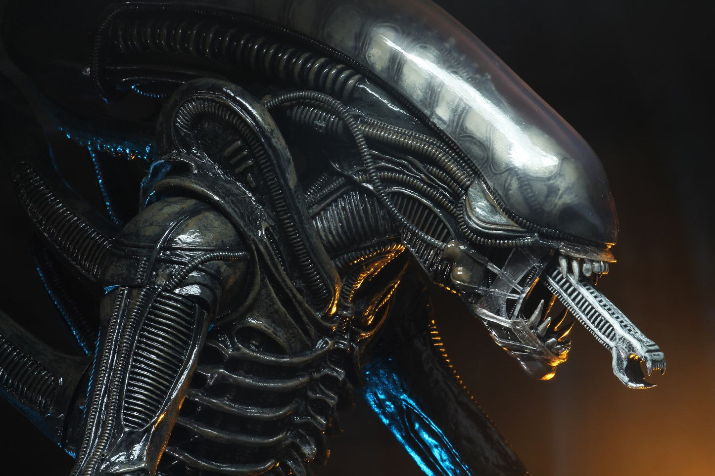 ALIEN BIG CHAP 1/4 AF RERUN