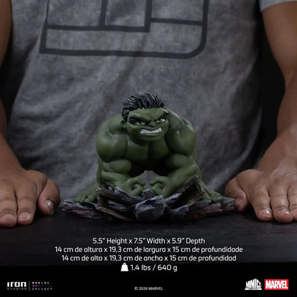 SPIDER-MAN BRAND NEW DAY HULK MINICO