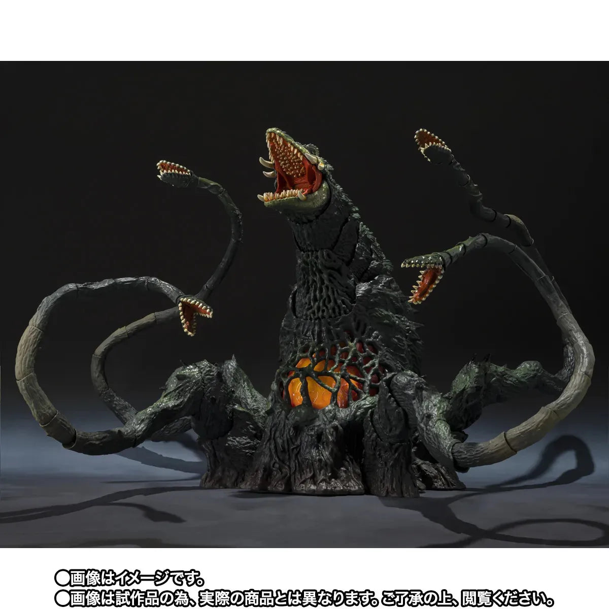 GODZILLA BIOLLANTE WAKASA BAY DECISIVE BATTLE VER. S.H.MONSTERARTS