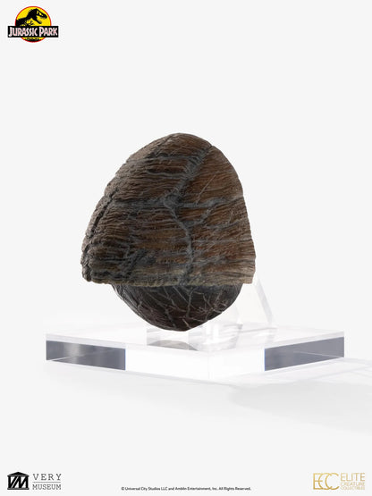 JP TRICERATOPS TOENAIL PROP REPRODUCTION