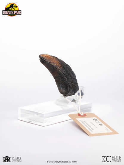 JURASSIC PARK VELOCIRAPTOR TOENAIL PROP REPRODUCTION TYPE A