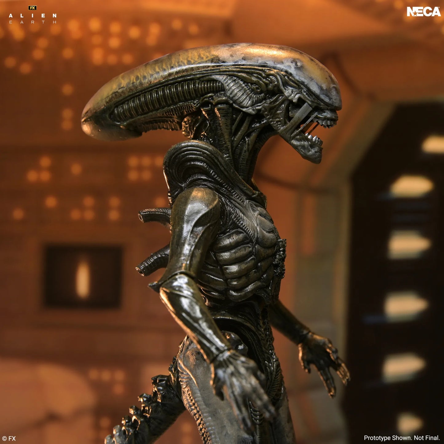 NECA - ALIEN MOVIE ALIEN EARTH WENDY XENOMORPH ULTIMATE ACTION FIGURE 17 cm