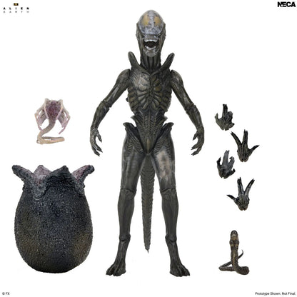 NECA - ALIEN MOVIE ALIEN EARTH WENDY XENOMORPH ULTIMATE ACTION FIGURE 17 cm