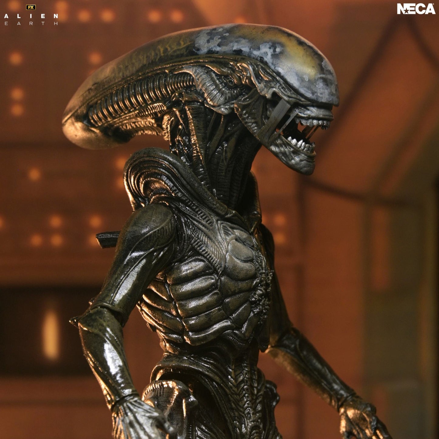 NECA - ALIEN MOVIE ALIEN EARTH WENDY XENOMORPH ULTIMATE ACTION FIGURE 17 cm