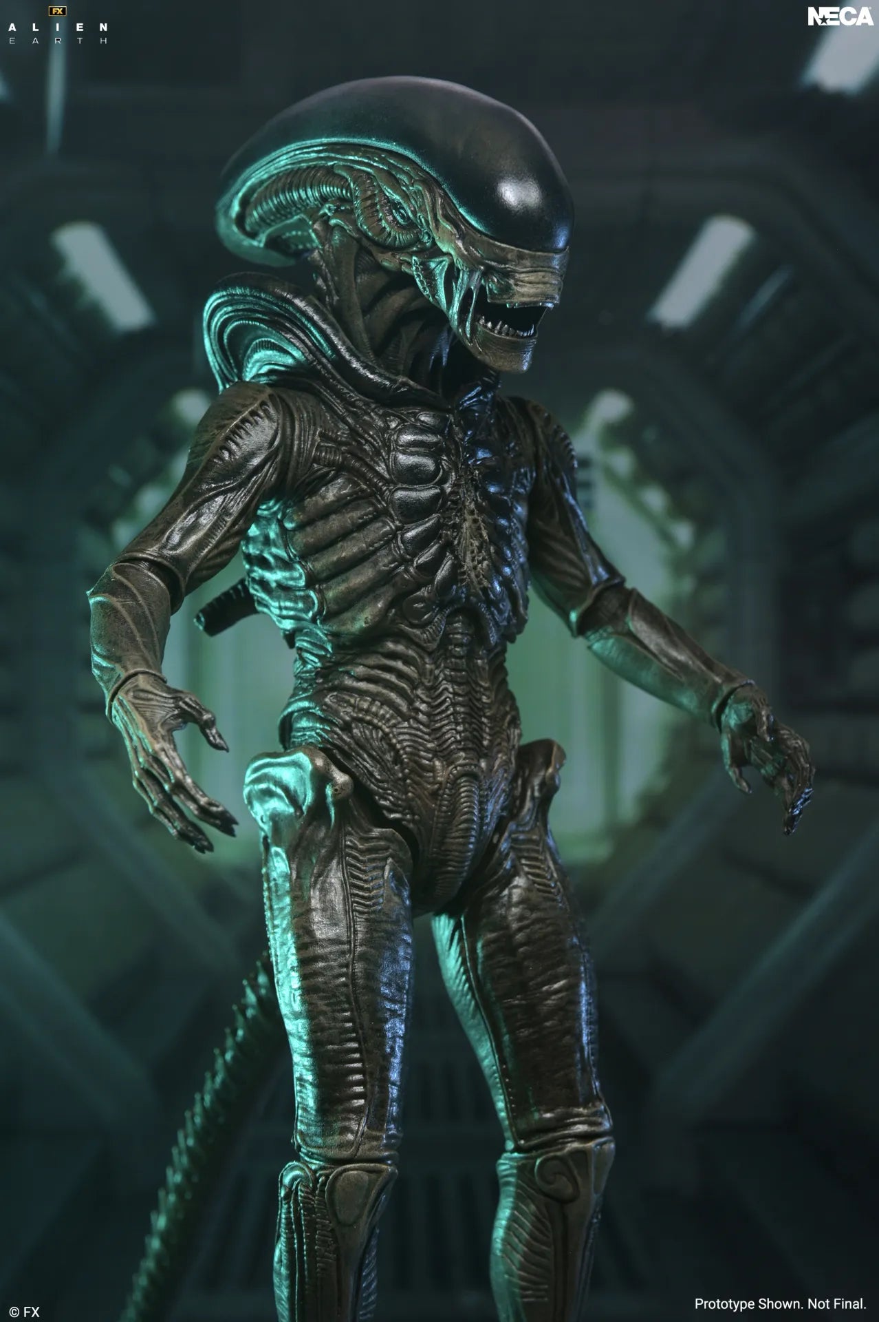 NECA - ALIEN MOVIE ALIEN EARTH XENOMORPH ULTIMATE ACTION FIGURE 17 cm