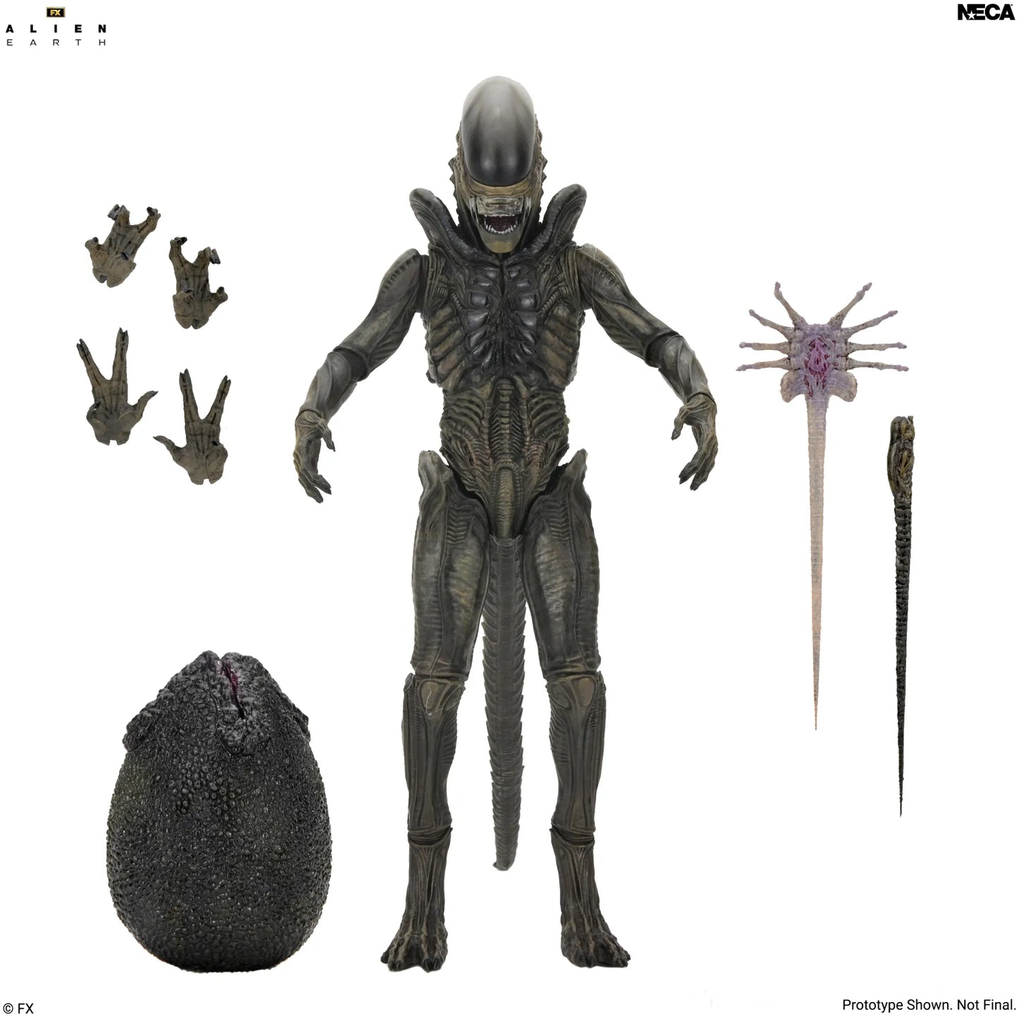 NECA - ALIEN MOVIE ALIEN EARTH XENOMORPH ULTIMATE ACTION FIGURE 17 cm