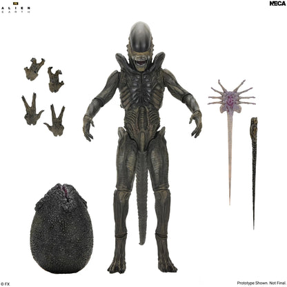 NECA - ALIEN MOVIE ALIEN EARTH XENOMORPH ULTIMATE ACTION FIGURE 17 cm