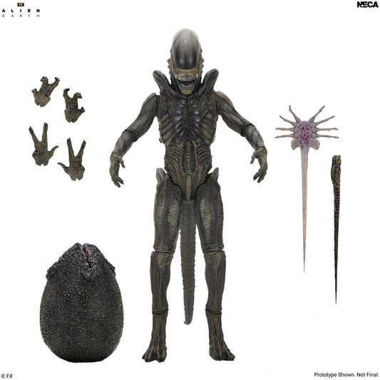 NECA - ALIEN MOVIE ALIEN EARTH XENOMORPH ULTIMATE ACTION FIGURE 17 cm
