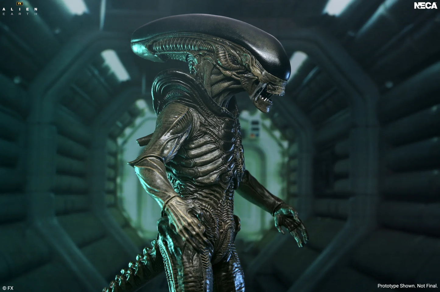 NECA - ALIEN MOVIE ALIEN EARTH XENOMORPH ULTIMATE ACTION FIGURE 17 cm