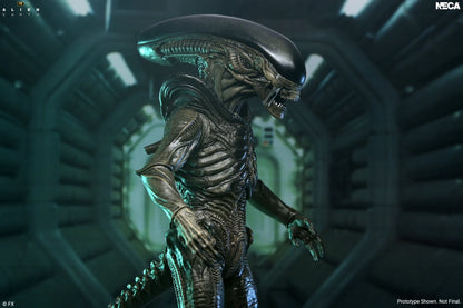 NECA - ALIEN MOVIE ALIEN EARTH XENOMORPH ULTIMATE ACTION FIGURE 17 cm
