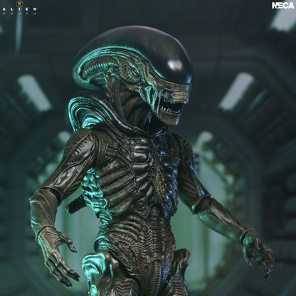 NECA - ALIEN MOVIE ALIEN EARTH XENOMORPH ULTIMATE ACTION FIGURE 17 cm