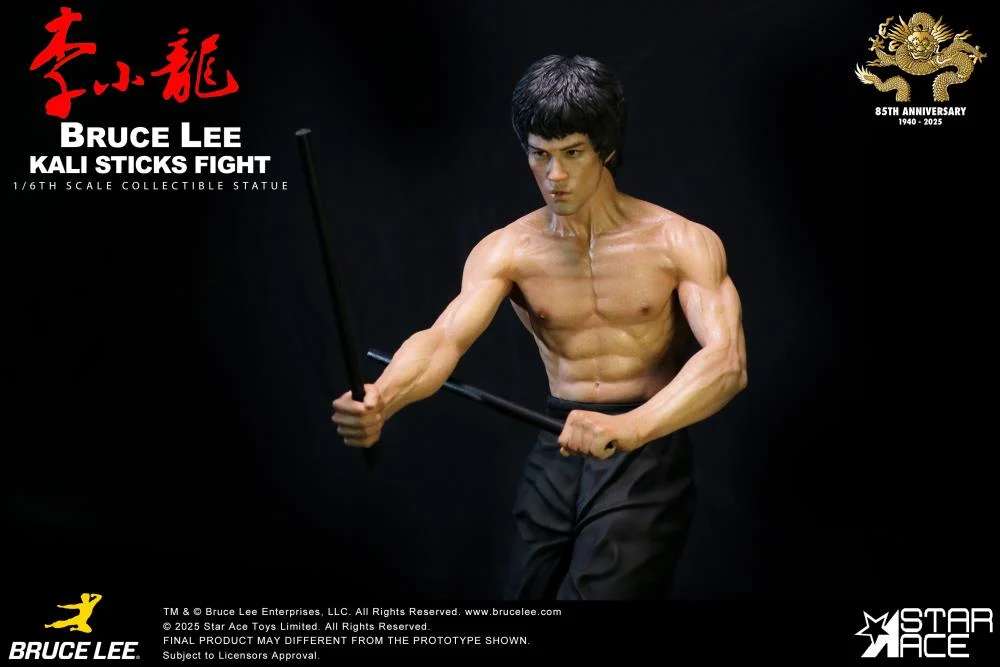 BRUCE LEE KALI STICKS FIGHT NORMAL STATU