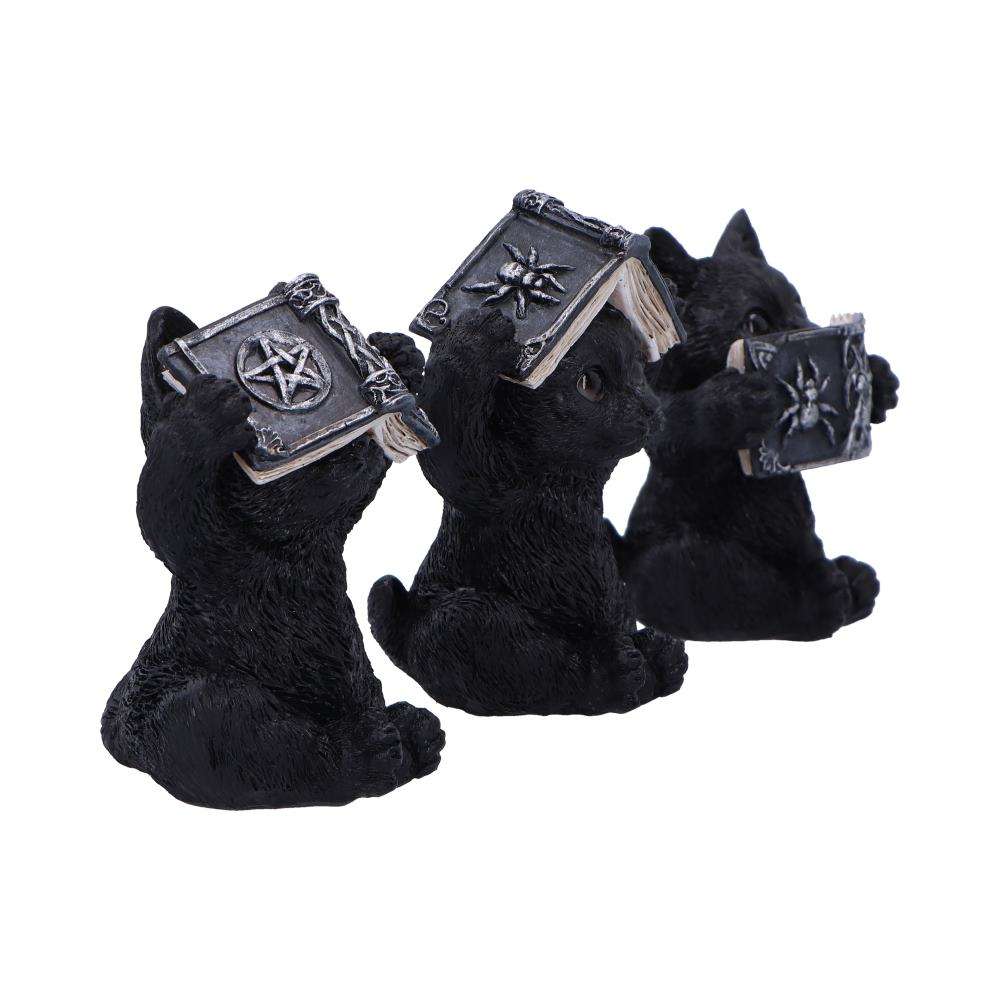THREE WISE WITCHY BLACK SPELL CATS