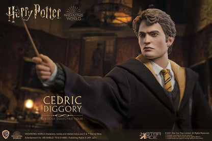 HP CEDRIC DIGGORY DELUXE 1/6 AF
