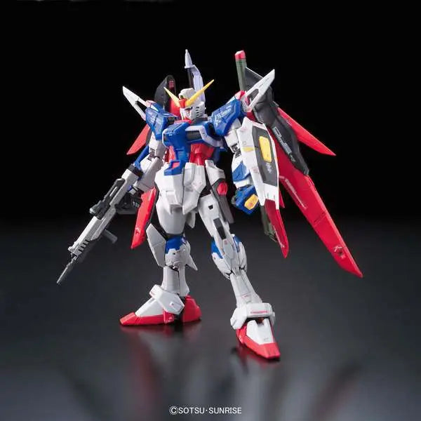 RG GUNDAM DESTINY 1/144