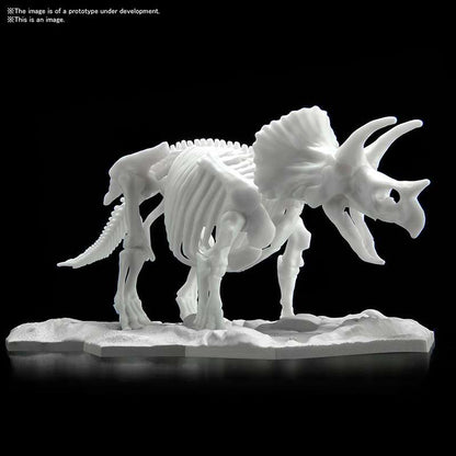DINOSAUR LIMEX SKELETON TRICERATOPS MK