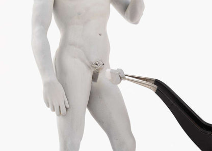 SYUTO SEIKO MICHELANGELO DAVID PLASTIC MODEL KIT 15 cm
