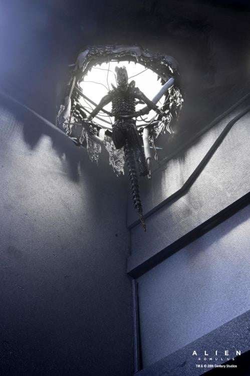 ALIEN ROMULUS DLX SUSP LAB XENO XX121 AF