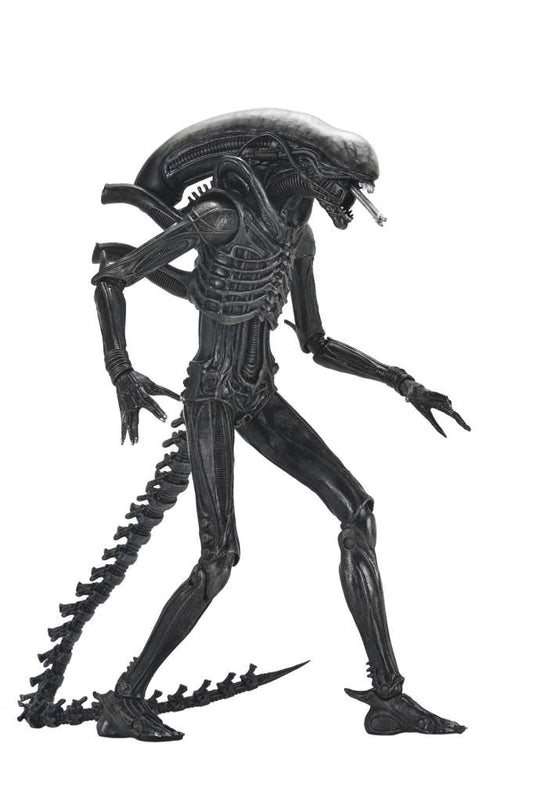 ALIEN ROMULUS XENOMORPH XX121 ULTIMAT AF