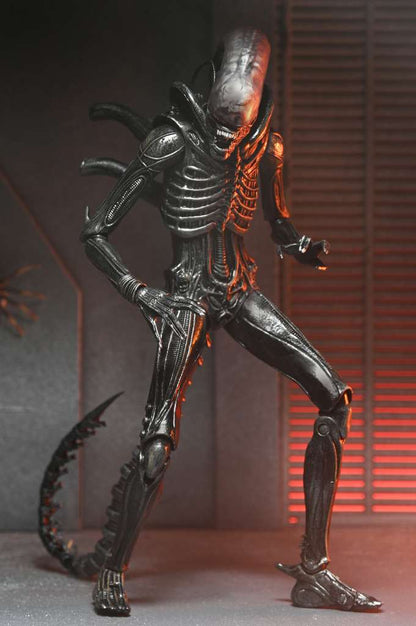 ALIEN ROMULUS XENOMORPH XX121 ULTIMAT AF