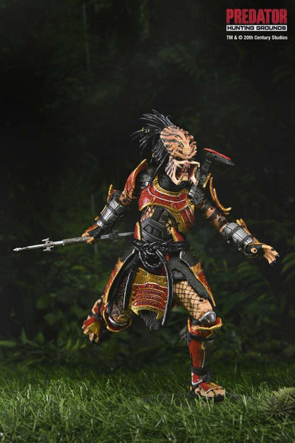 PREDATOR HUN GRO SAMURAI PREDATOR ULT AF