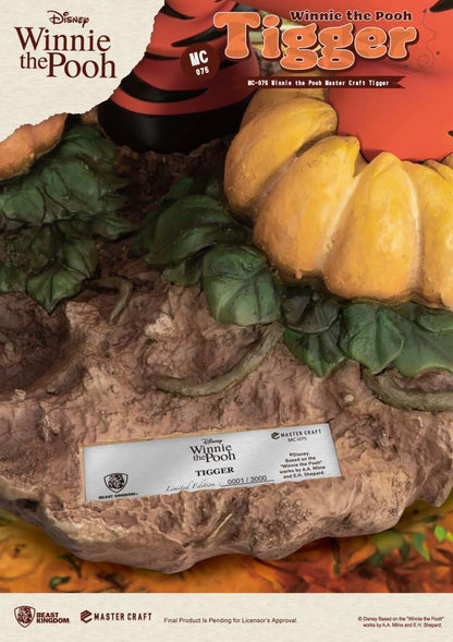 WINNIE THE POOH MASTER CRAFT TIGGER