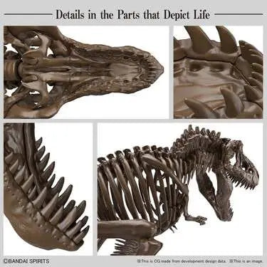 BANDAI IMAGINARY SKELETON TYRANNOSAURUS 1/32 MODEL KIT 12 cm