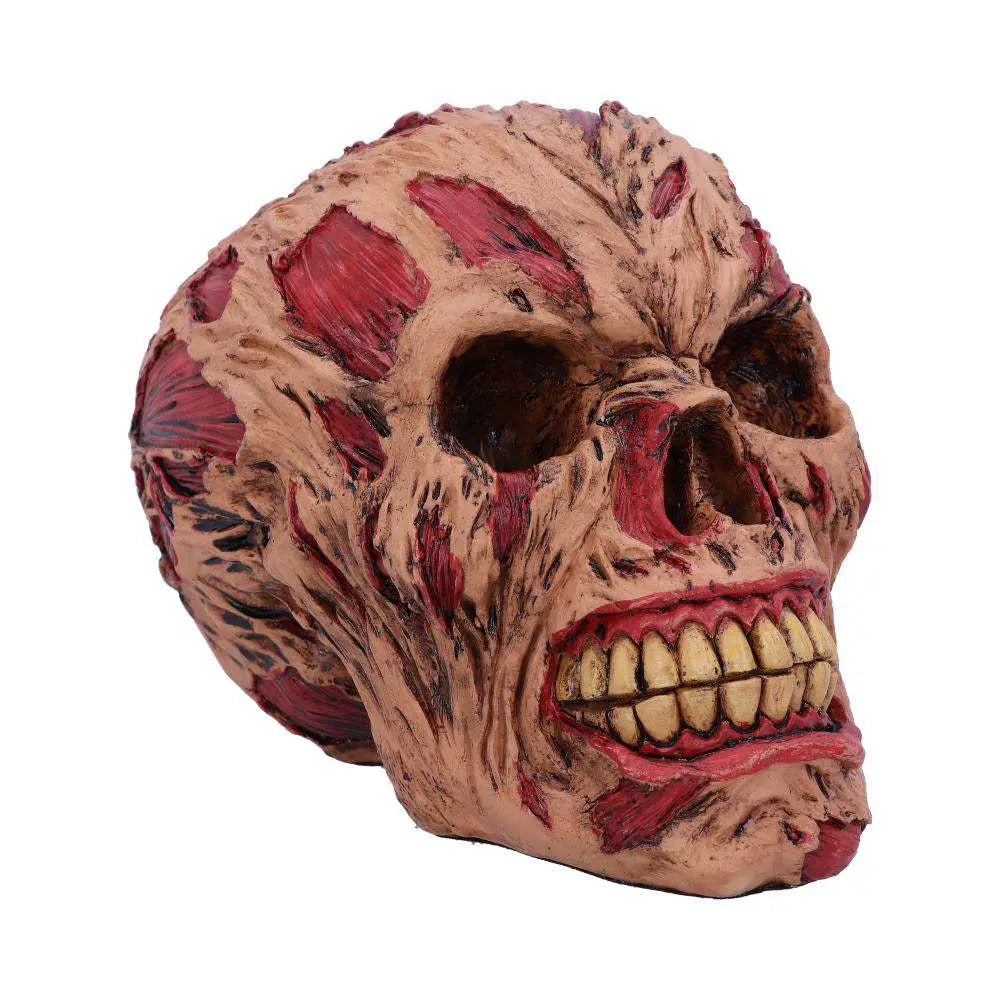 ROTTING ZOMBIE SKULL ORNAMENT 17CM