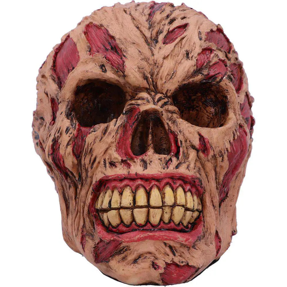 ROTTING ZOMBIE SKULL ORNAMENT 17CM