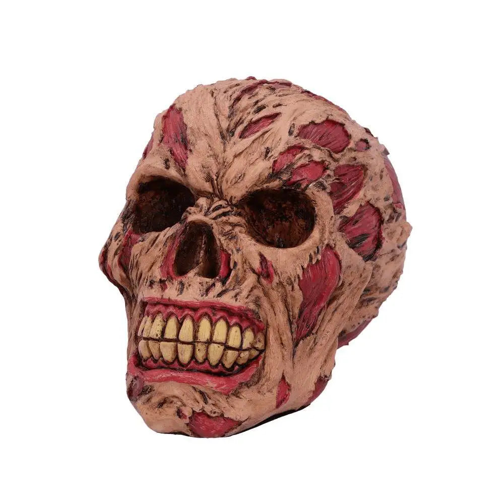 ROTTING ZOMBIE SKULL ORNAMENT 17CM
