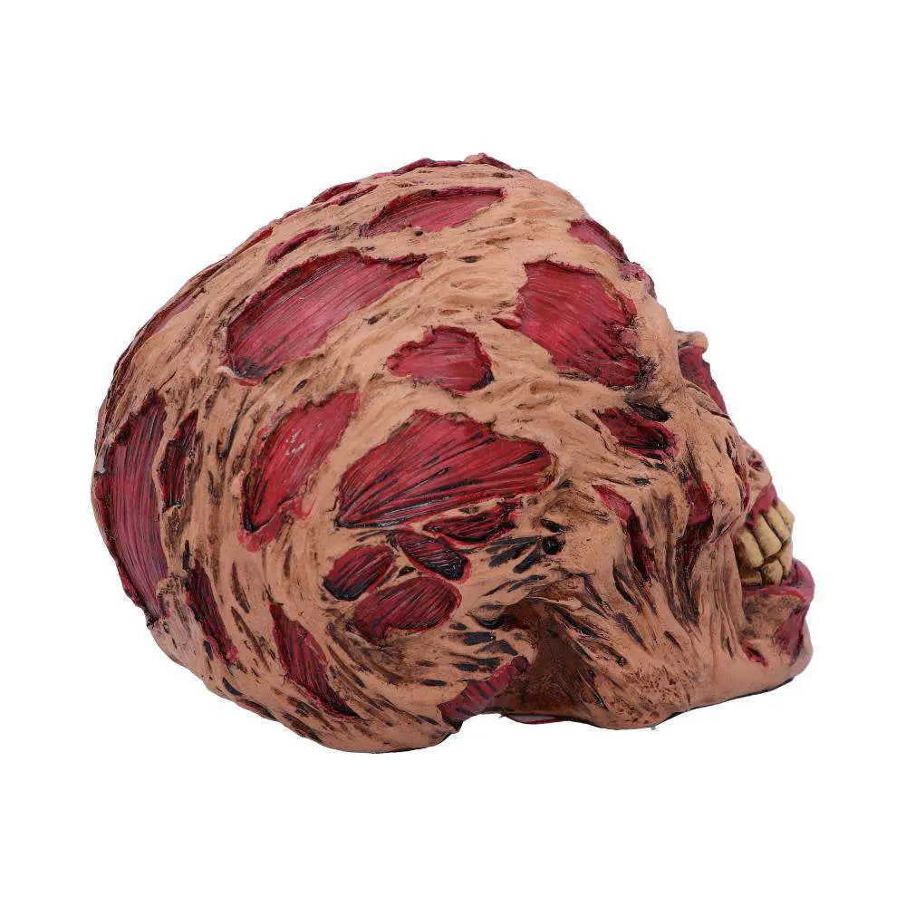 ROTTING ZOMBIE SKULL ORNAMENT 17CM
