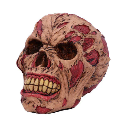 ROTTING ZOMBIE SKULL ORNAMENT 17CM