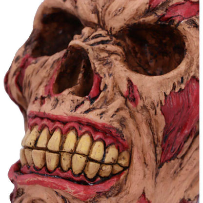 ROTTING ZOMBIE SKULL ORNAMENT 17CM