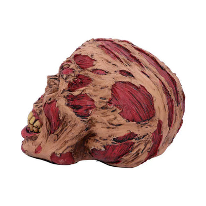 ROTTING ZOMBIE SKULL ORNAMENT 17CM