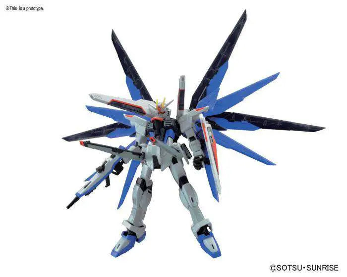 RG GUNDAM FREEDOM 1/144