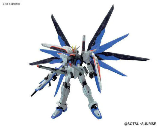 RG GUNDAM FREEDOM 1/144