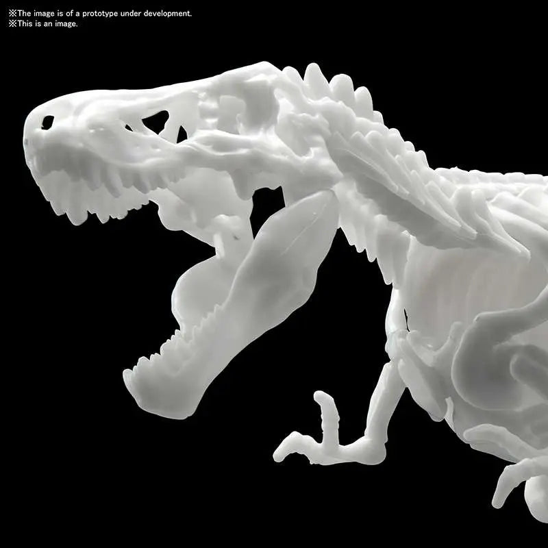 BANDAI DINOSAUR LIMEX SKELETON TYRANNOSAURUS MK MODEL KIT 21 cm
