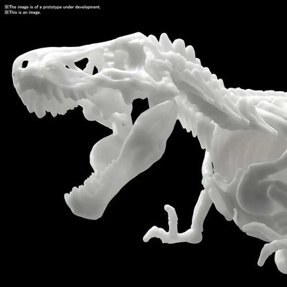 BANDAI DINOSAUR LIMEX SKELETON TYRANNOSAURUS MK MODEL KIT 21 cm