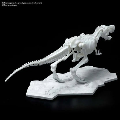 BANDAI DINOSAUR LIMEX SKELETON TYRANNOSAURUS MK MODEL KIT 21 cm