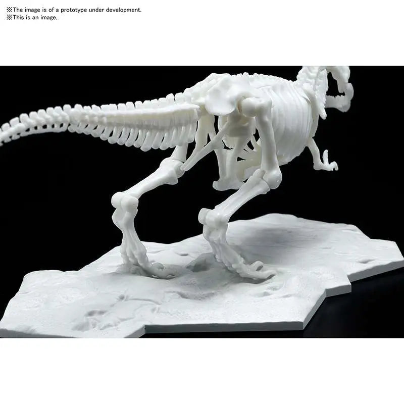 BANDAI DINOSAUR LIMEX SKELETON TYRANNOSAURUS MK MODEL KIT 21 cm