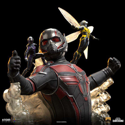 Ant-Man and Wasp Quantumania Dlx 1/10 st