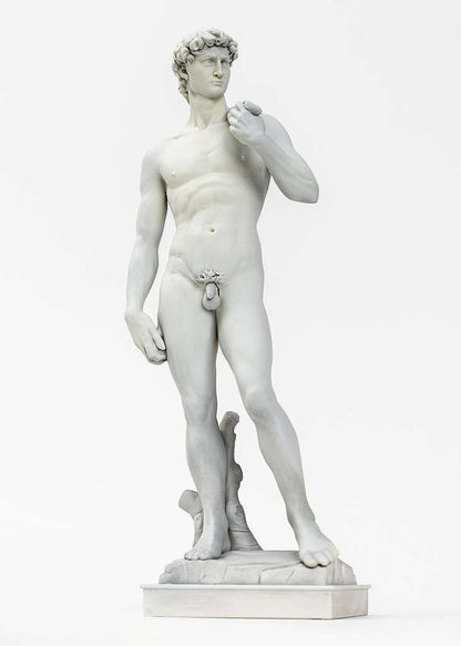 SYUTO SEIKO MICHELANGELO DAVID PLASTIC MODEL KIT 15 cm