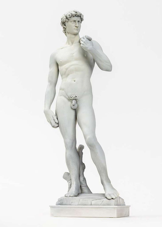 SYUTO SEIKO MICHELANGELO DAVID PLASTIC MODEL KIT 15 cm
