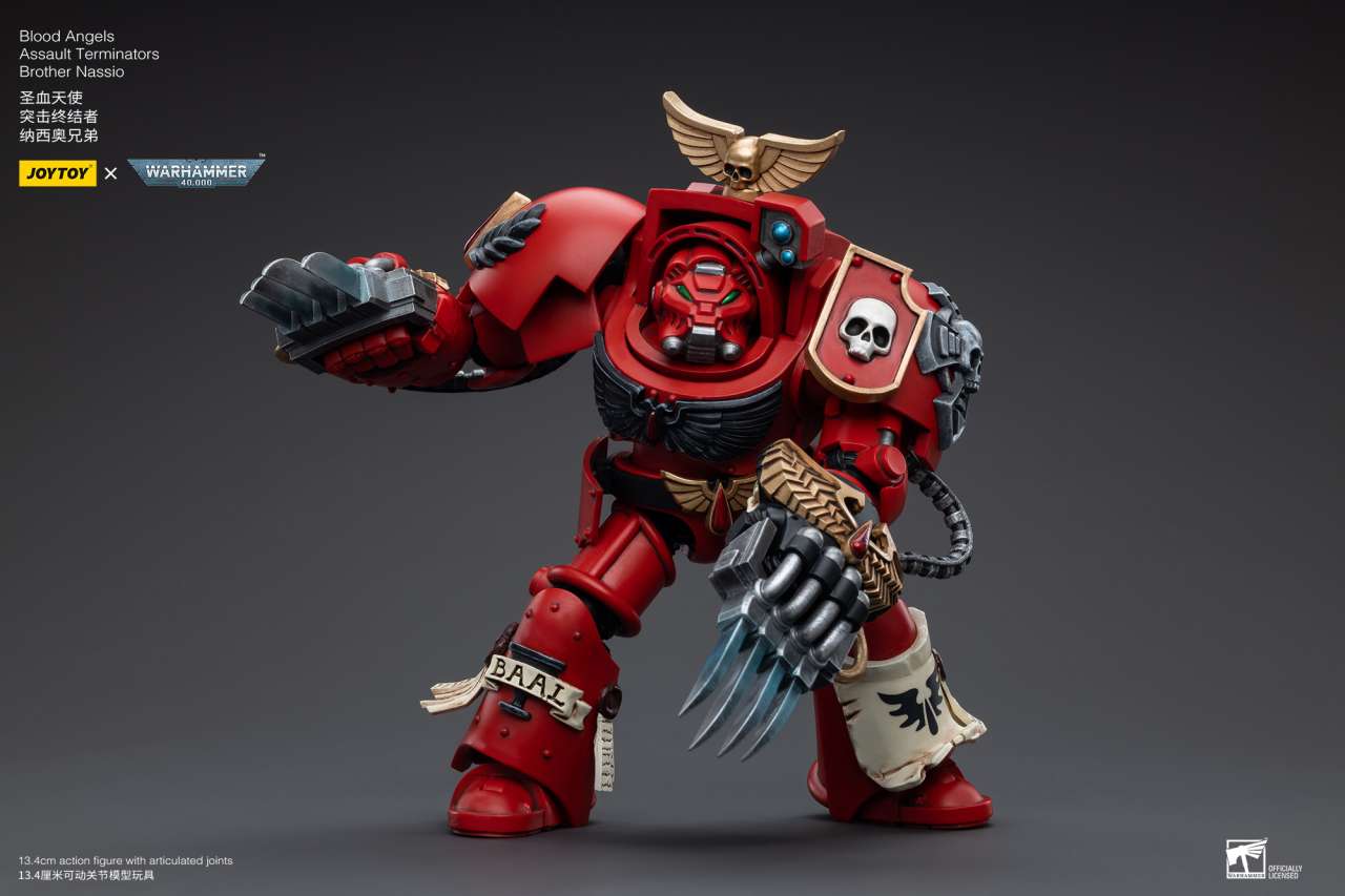 WH40K BLOOD ANGELS ASSAULT TERM BRO NAS