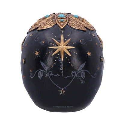 DESTINY PALMISTRY SKULL