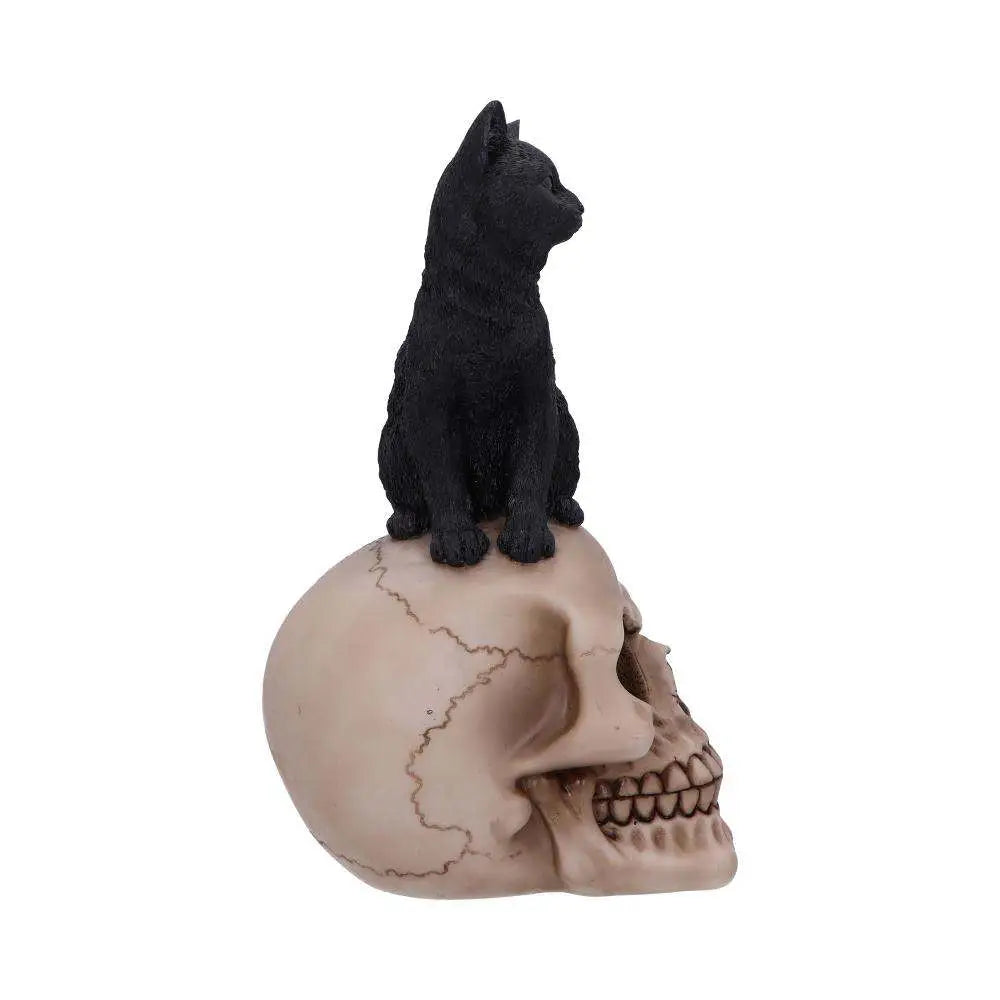 FAMILIAR FATE SKULL STATUE