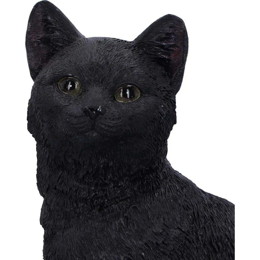 FAMILIAR FATE SKULL STATUE