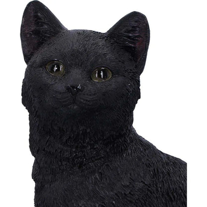 FAMILIAR FATE SKULL STATUE