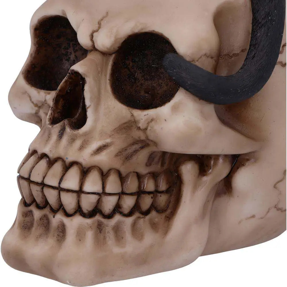 FAMILIAR FATE SKULL STATUE