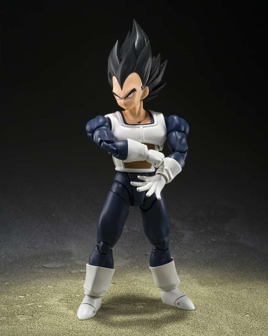 DB VEGETA OLD BATTLE CLOTHES SHF